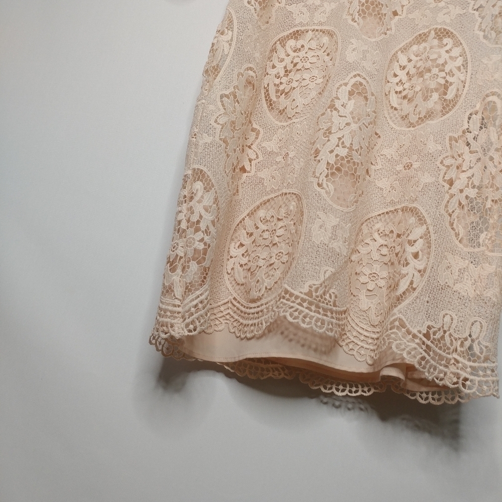 Zara Nude Pink Lace Dress - Picture 9 of 14